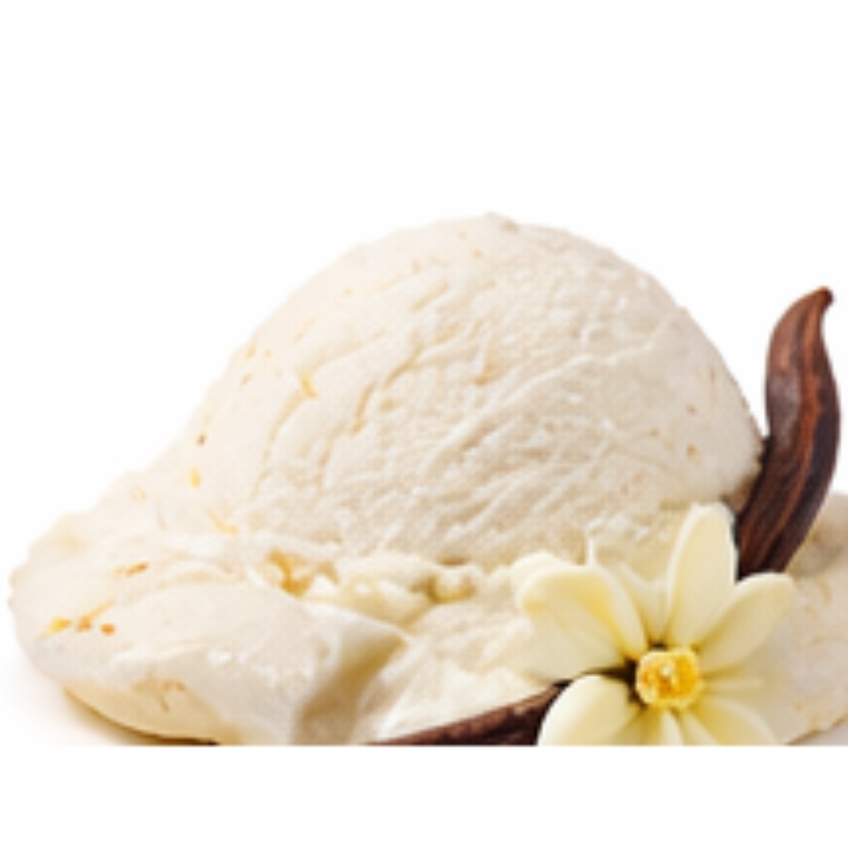 VANILLA — Cool Everest · Ice Cream